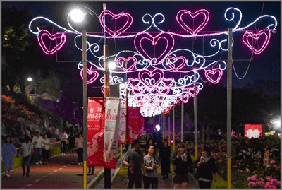  2025 삼척 장미공원 장미축제 일정&amp;#44; 주차&amp;#44; 볼거리 