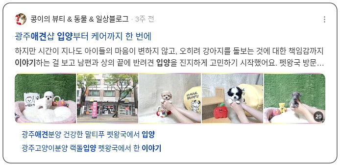 애견 입양 이야기_2_subsection