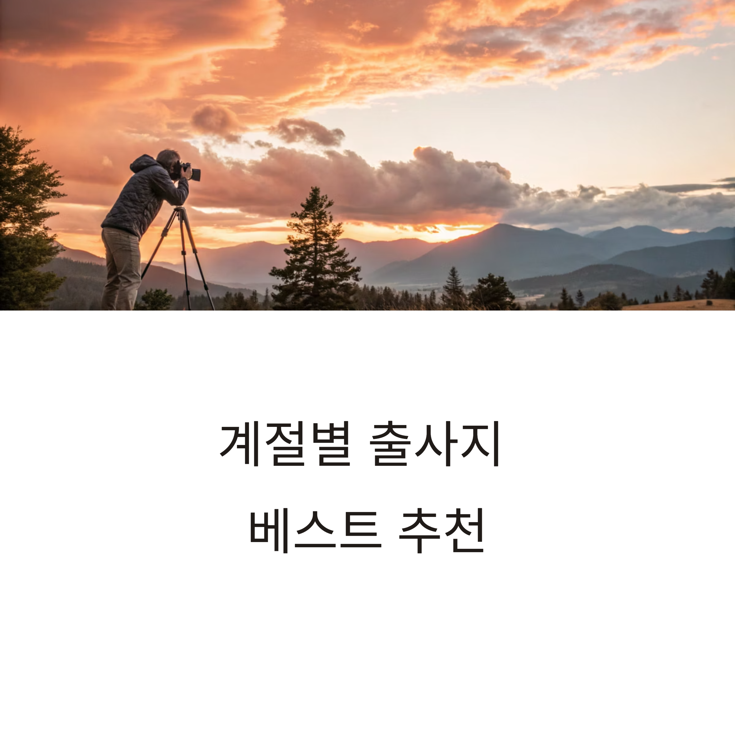 계절별 출사지 베스트 추천