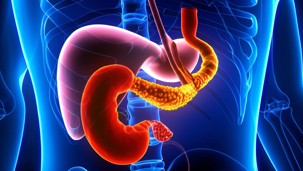 당뇨병 초기 증상부터 관리까지 핵심 