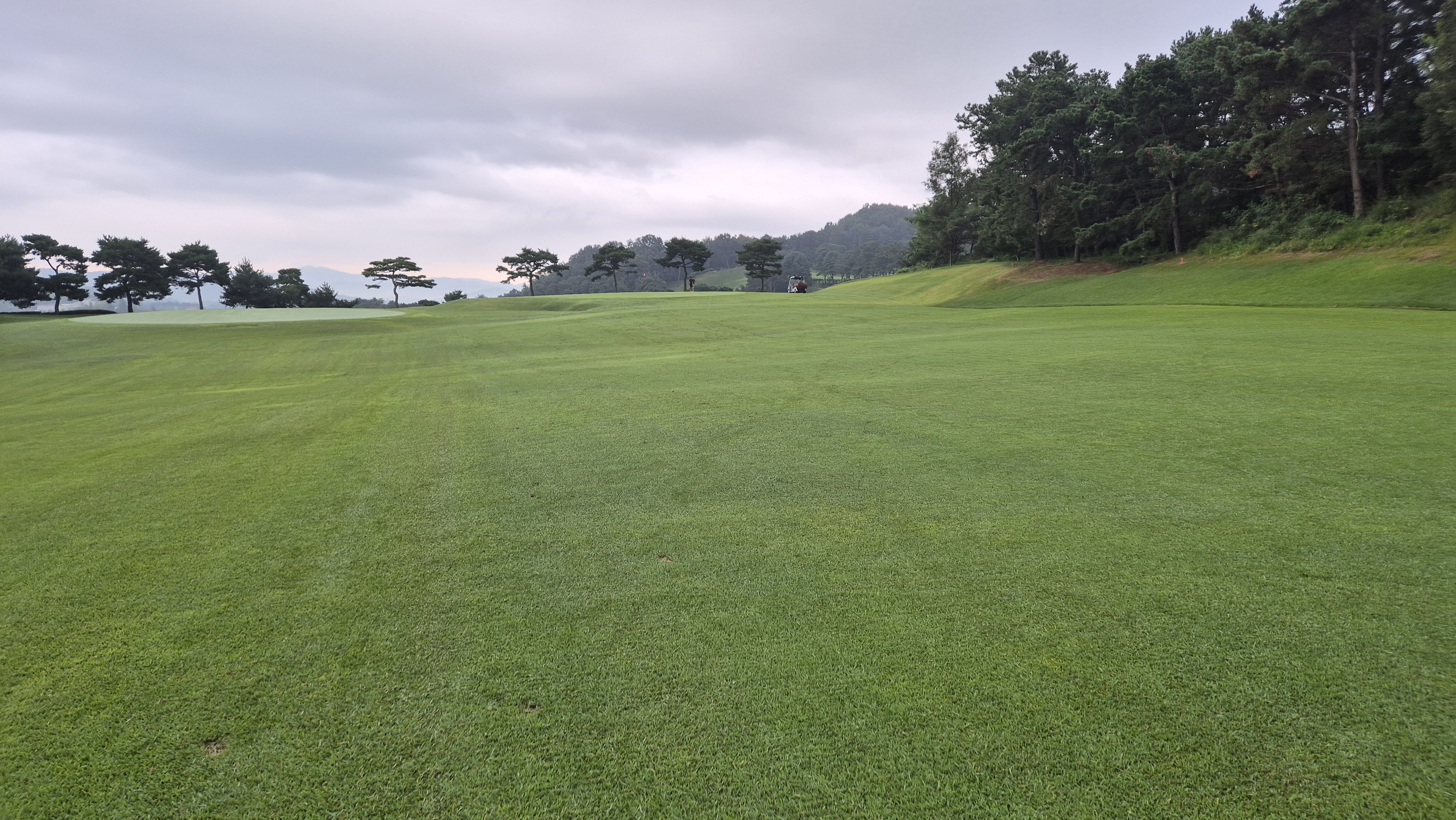 도고cc 코스 사진 및 공략 정보