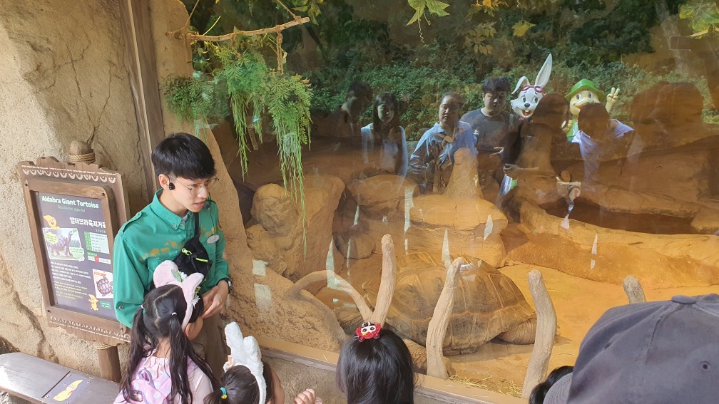 육지거북 애니멀톡