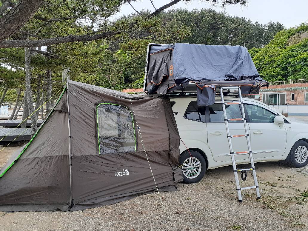울진동해캠핑