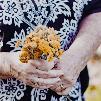 알츠하이머병 증상 원인 예방 가이드북