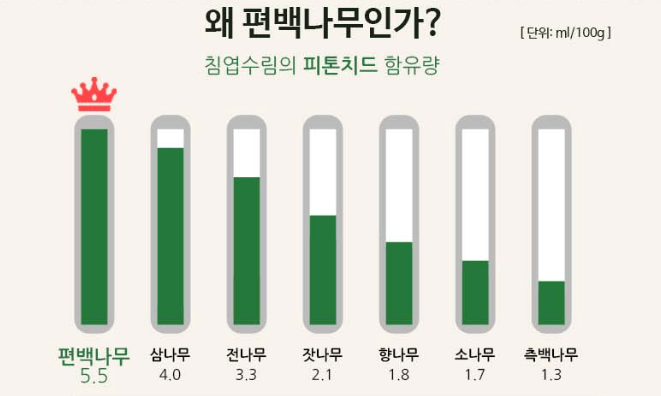 편백나무 피톤치드 함유량