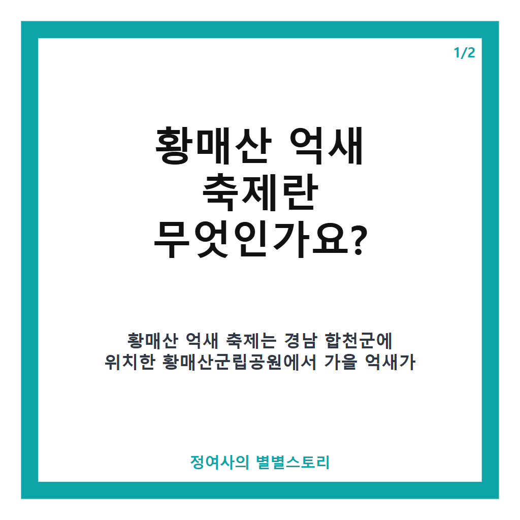 황매산 억새 축제 2026 일정과 프로그램 완벽 가이드 무료 입장 정보 포함 카드뉴스 1