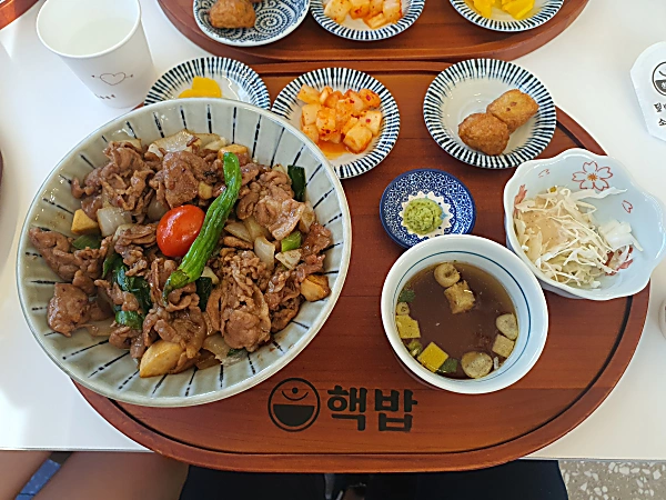 고기듬뿍 덮밥