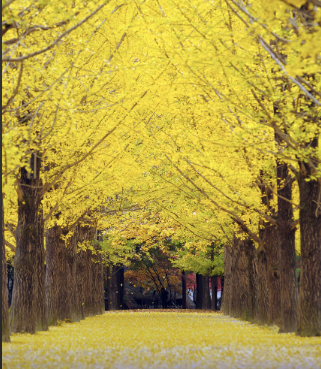 2025 추석연휴 강원도 가볼만한 곳 Best 5