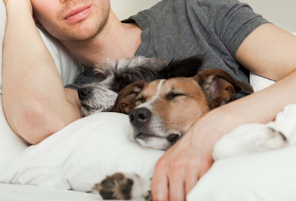 강아지와 함께 잠을 잔다.