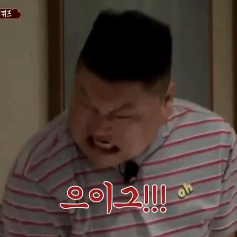 화나는 호동