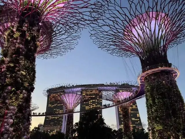 중국 부자들이 싱가포르를 떠나는 이유는 무엇일까?