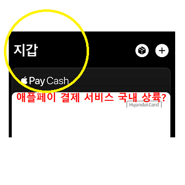 applepay-현대카드로-국내상륙하나