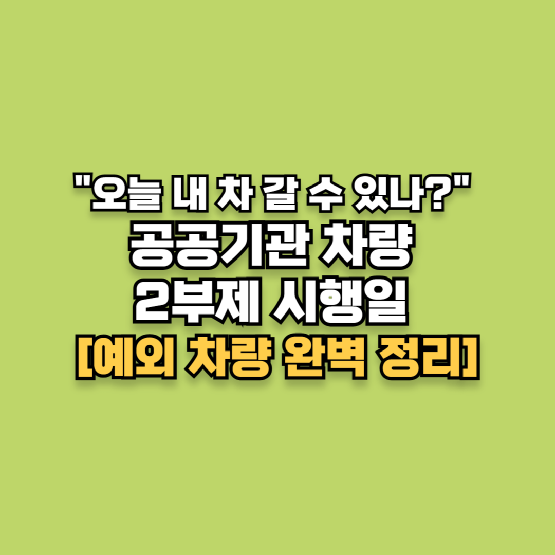 "오늘 내 차 갈 수 있나?" 공공기관 차량 2부제 시행일 및 예외 차량 완벽 정리