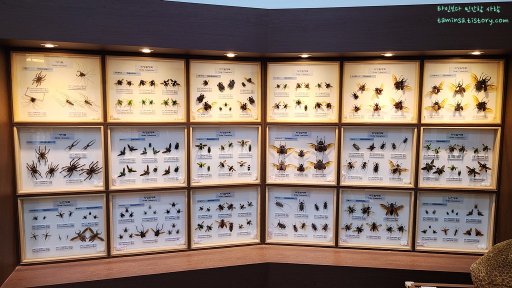 덕소자연사박물관-상설전시