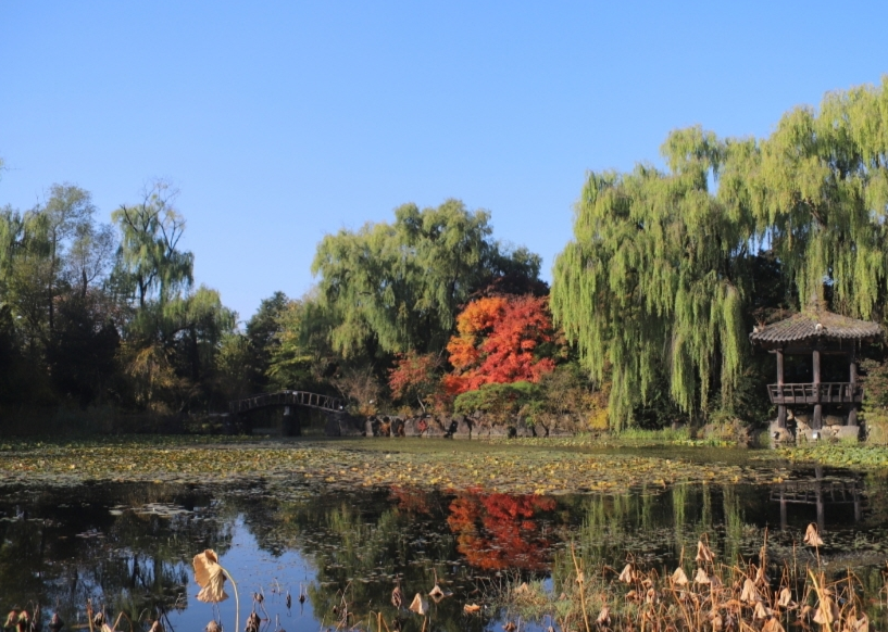 벽초지 수목원 가을꽃 국화축제 입장료