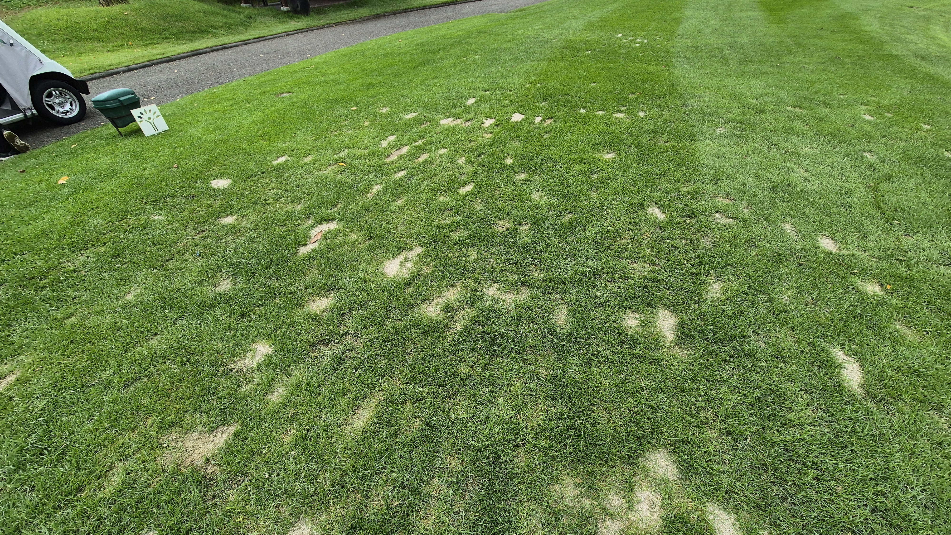 파인스톤cc 티잉구역 상태