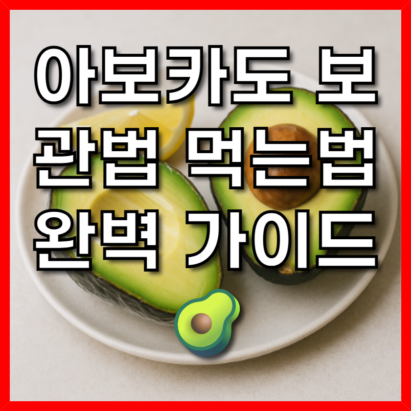 아보카도 보관법 먹는법 완벽 가이드