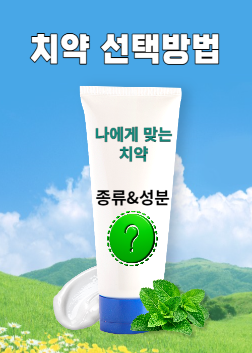 치약 선택방법