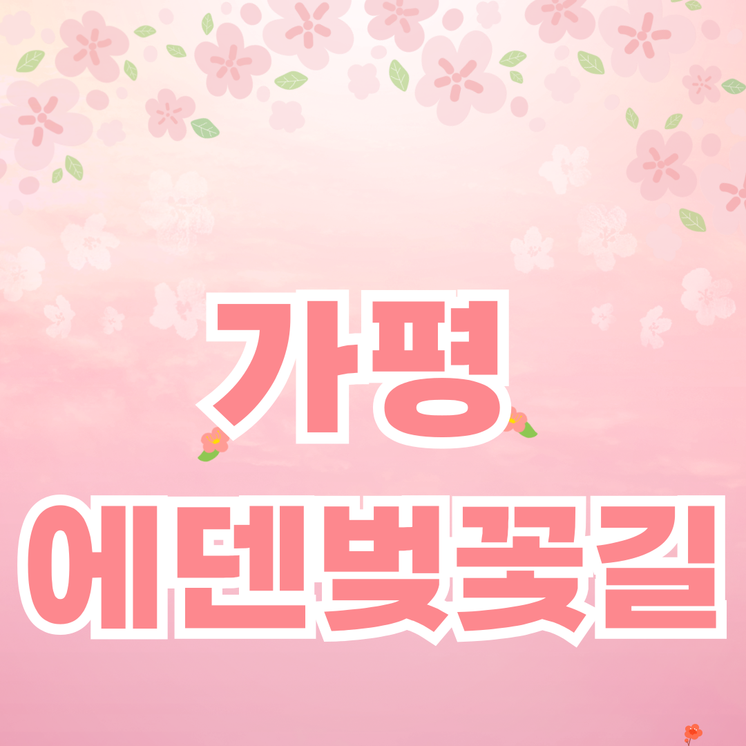 가평 에덴벚꽃길 벚꽃 축제