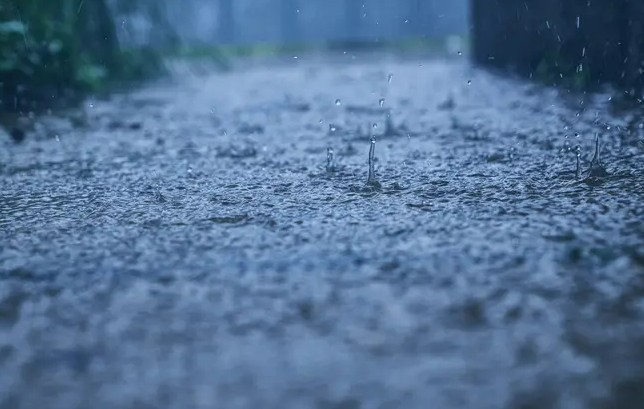 2025 장맛비 예보 총정리 🌧️이번 여름, 물폭탄이 온다?