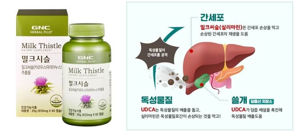 밀크씨슬 효능-간 건강 개선