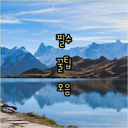 ESTA 72시간 전 신청! 여유로운..