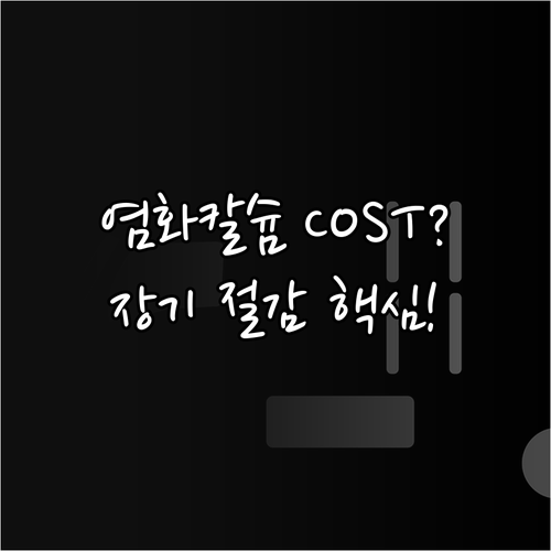 장기 비용 절감 염화칼슘 대안 제설제..