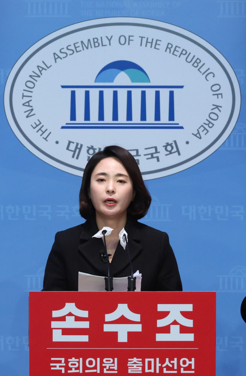 손수조 정치 경력