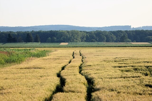 2025 공익직불금 신청방법 총정리|신청자격부터 지급시기까지 한눈에!