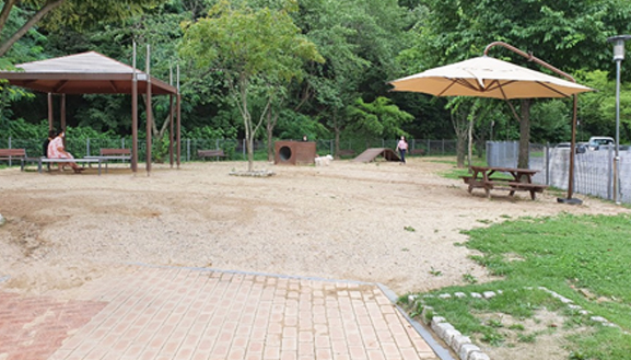용인 반려견 놀이터