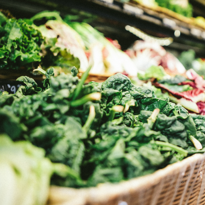 식물성 단백질 종류