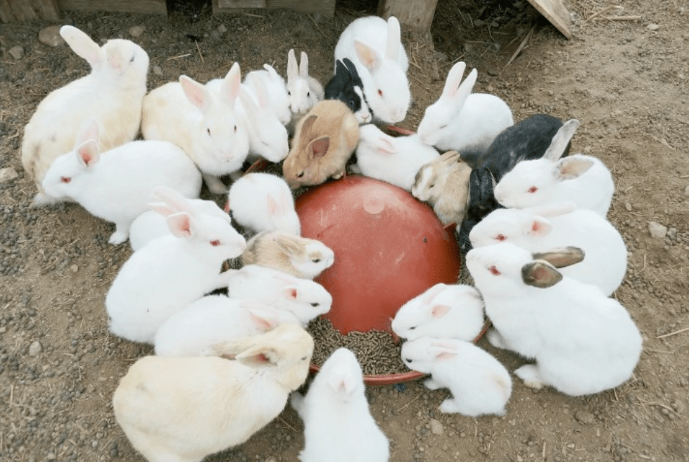 μ¨λ΄μλ¬Όμ-κ°€λ¬λ¦¬