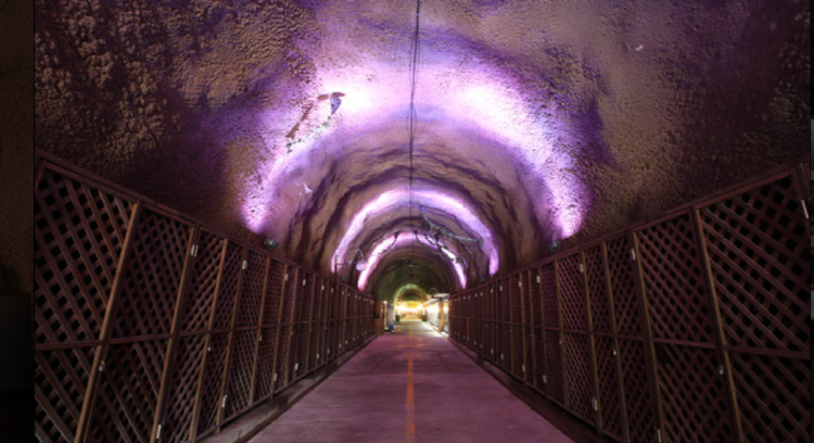 무주 머루와인동굴