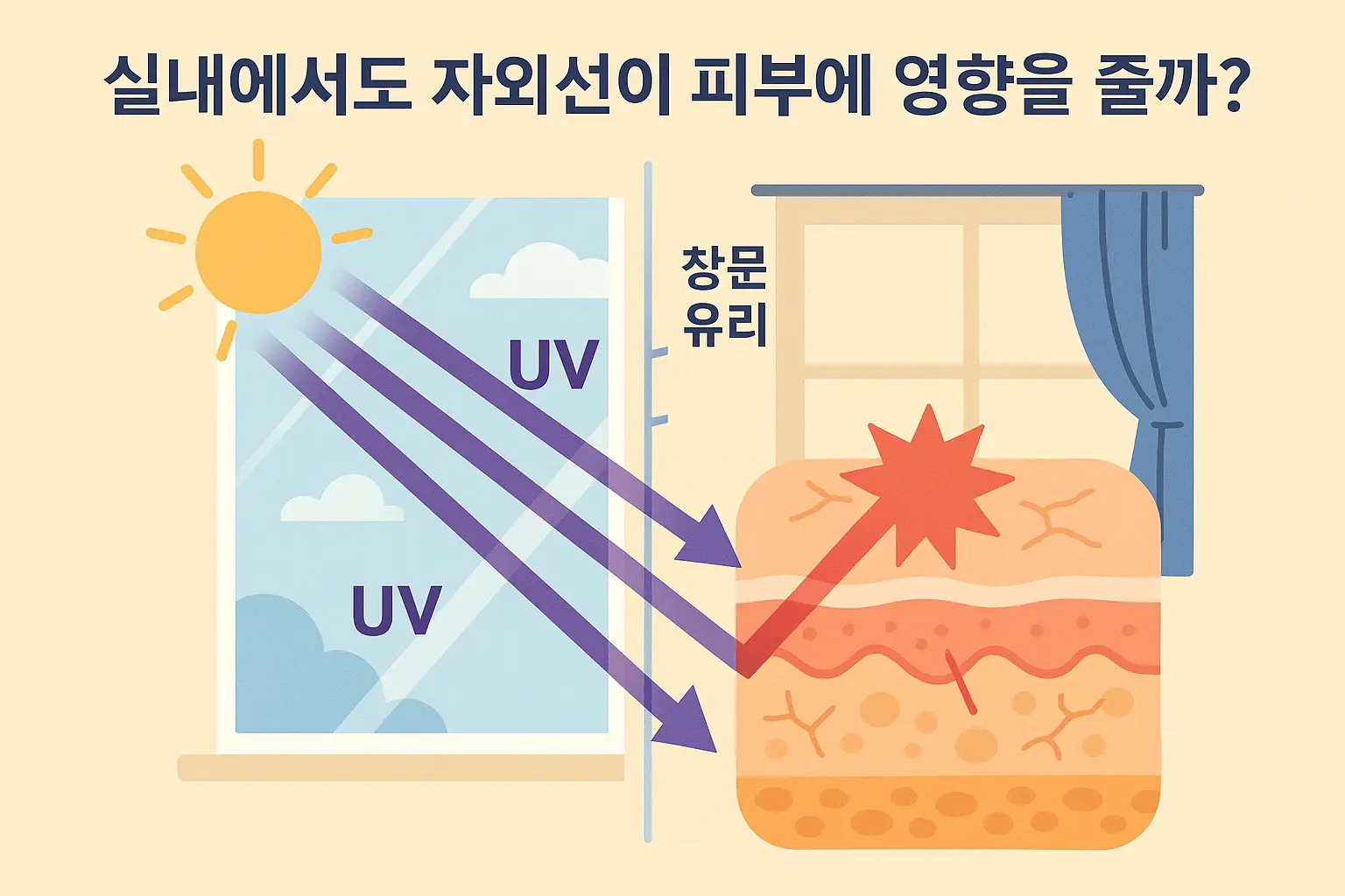 창문-유리를-통과해-실내로-들어오는-자외선(UV)가-표피-진피-층을-통과하며-피부에-손상을-일으키는-과정이-강조된-인포그래픽