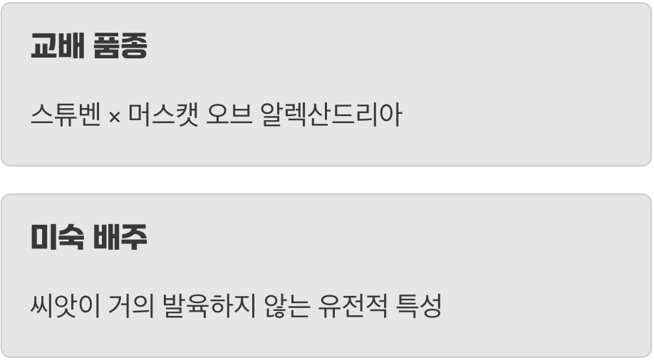 태생부터 씨가 작았던 특별한 포도