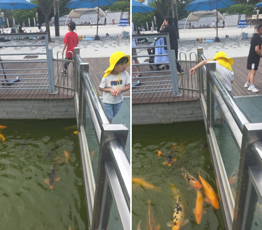 오산 6살 아이와 맑음터공원 물놀이장 후기 (2026년 조기개장 + 주차·운영시간·준비물)
