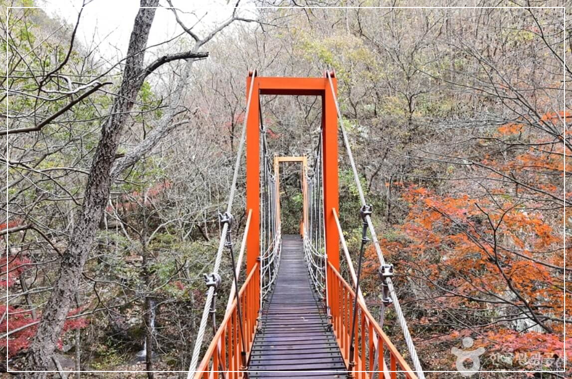 장흥 가볼만한곳 베스트10 유치자연휴양림
