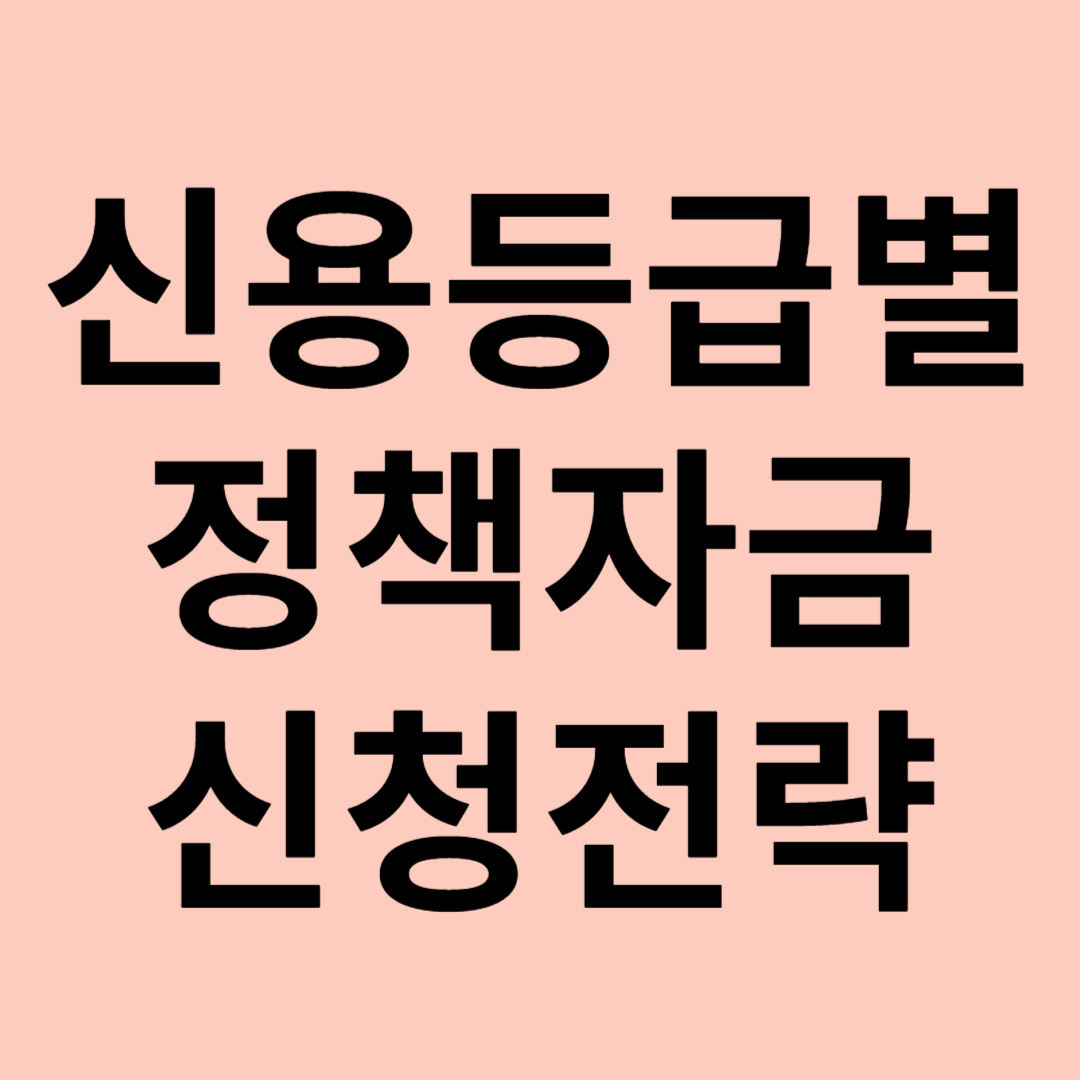 신용등급별 정책자금 신청 전략 관련 이미지