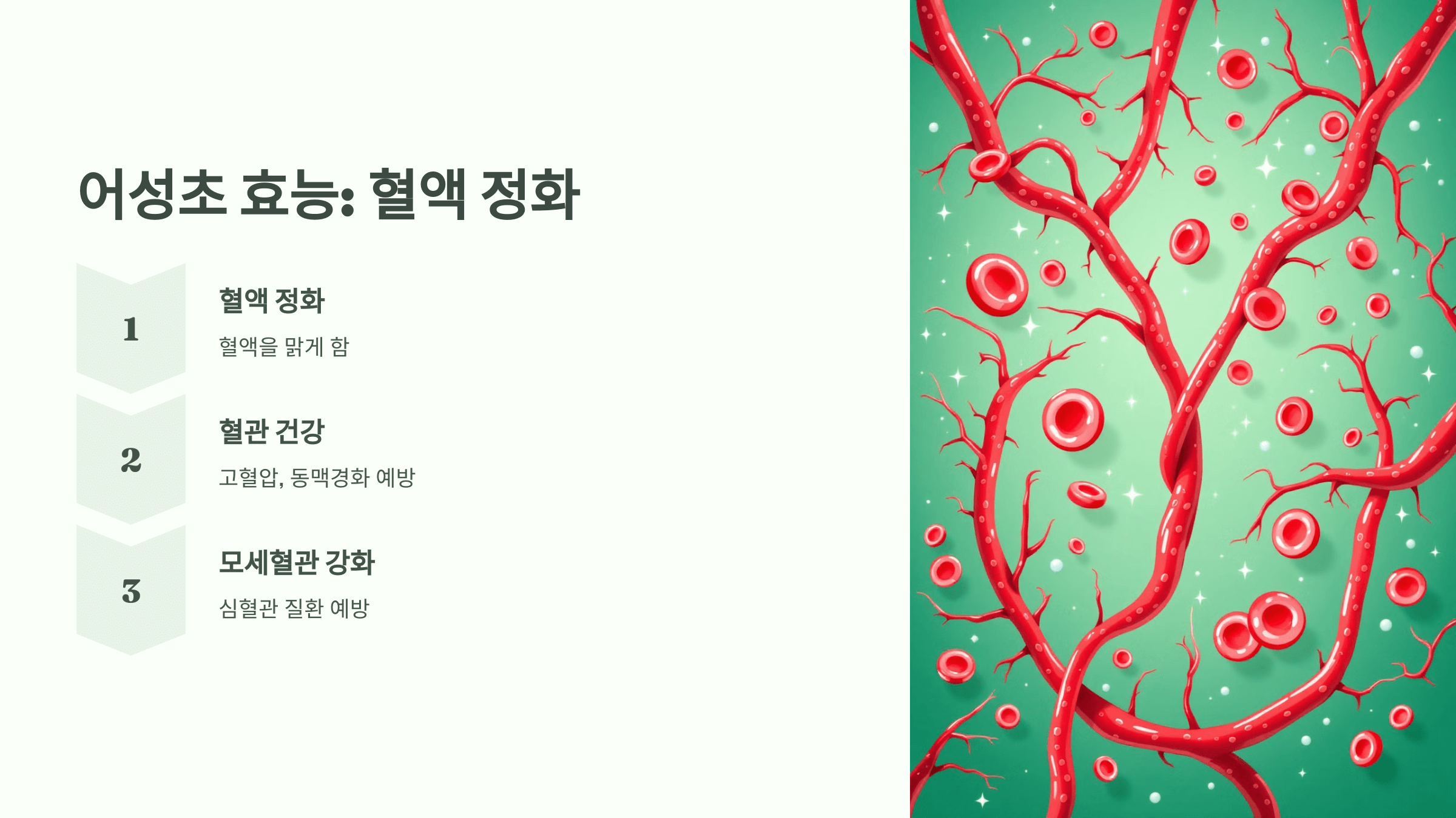 어성초 사진입니다.