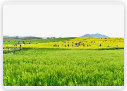 전북고창 숨겨진 보석 같은 여행지 