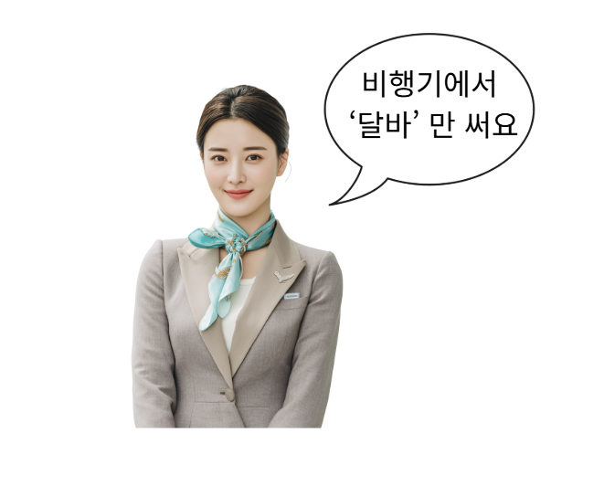 승무원 미스트