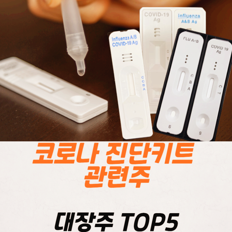 코로나 진단키드 관련주 대장주 테마주 수혜주 TOP5