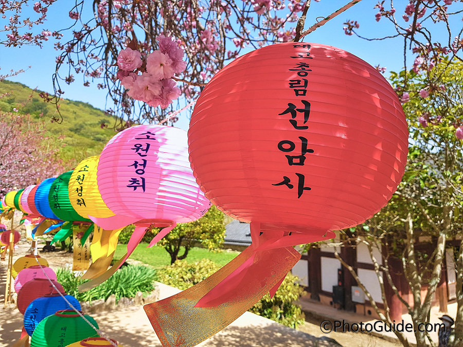 순천-선암사-포토가이드