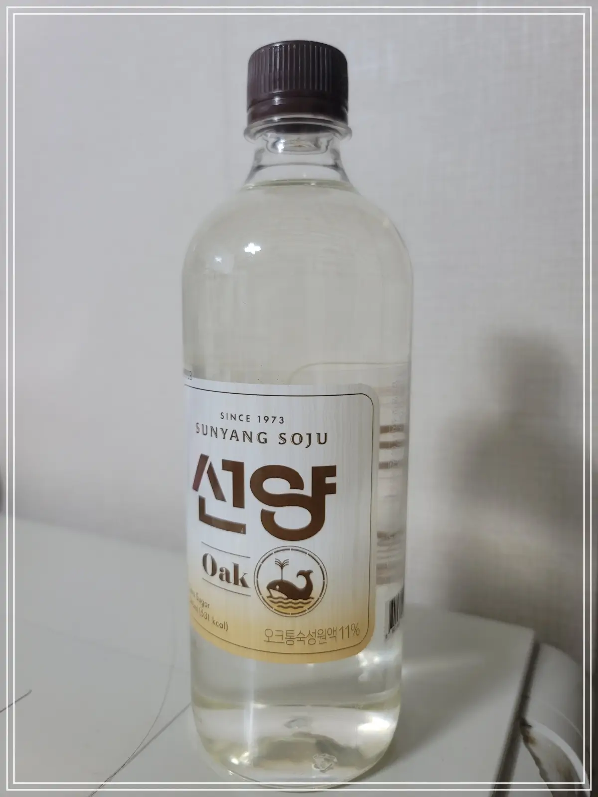 선양-오크-구매