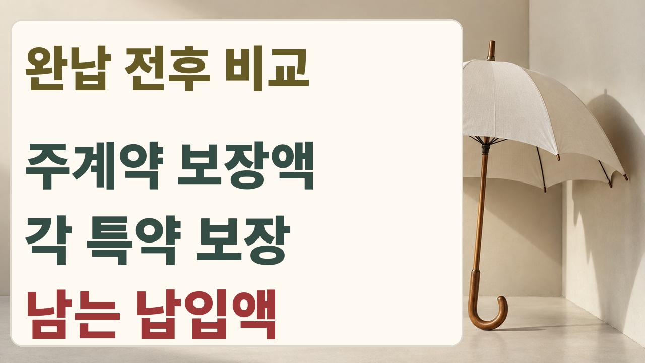 감액완납 전후 보장금액과 주계약 특약 및 계속 낼 보험료를 나눠 보는 비교 카드