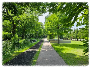 홋카이도대학교