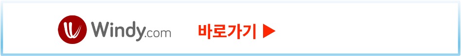 윈디닷컴에서 날씨 확인하기