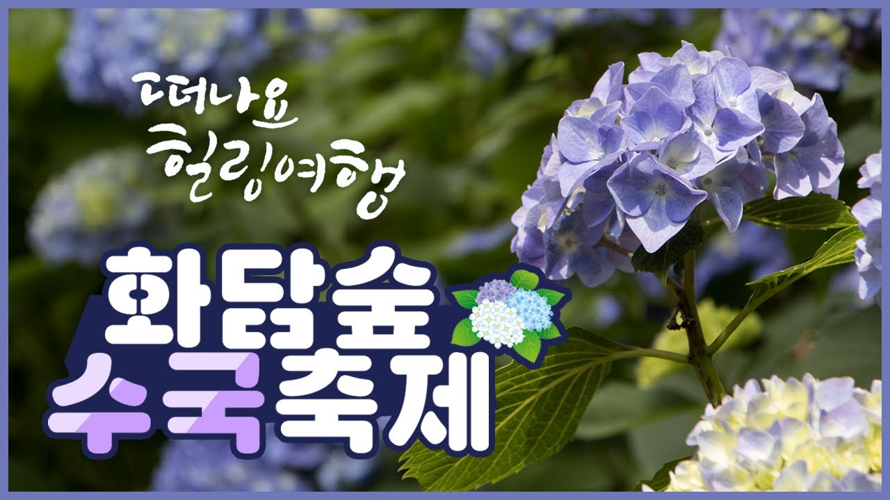 화담숲 여름 수국 축제 사전예약 바로가기