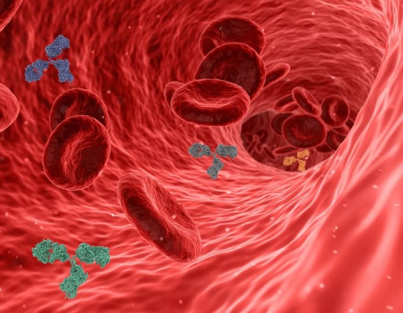 경동맥 협착증 치료