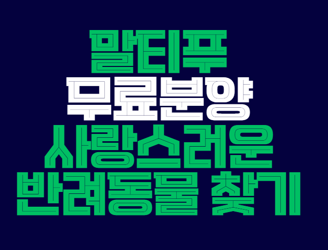 말티푸_무료분양